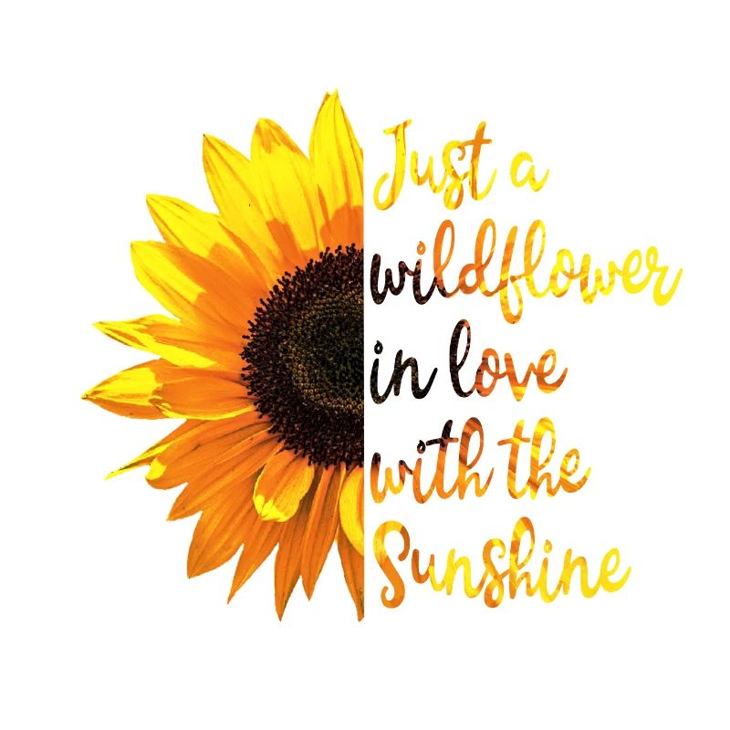 Sonnenblume Inspirierendes Zitat