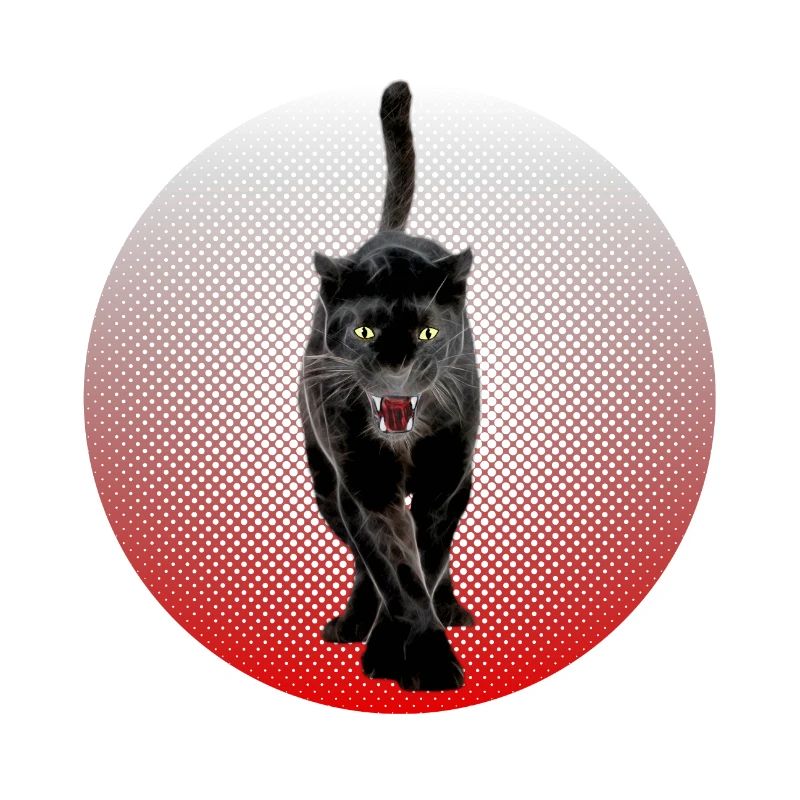 Noir Cougar schwarzer Panther CB Chat Noir