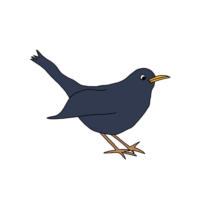 Amsel *** blanko