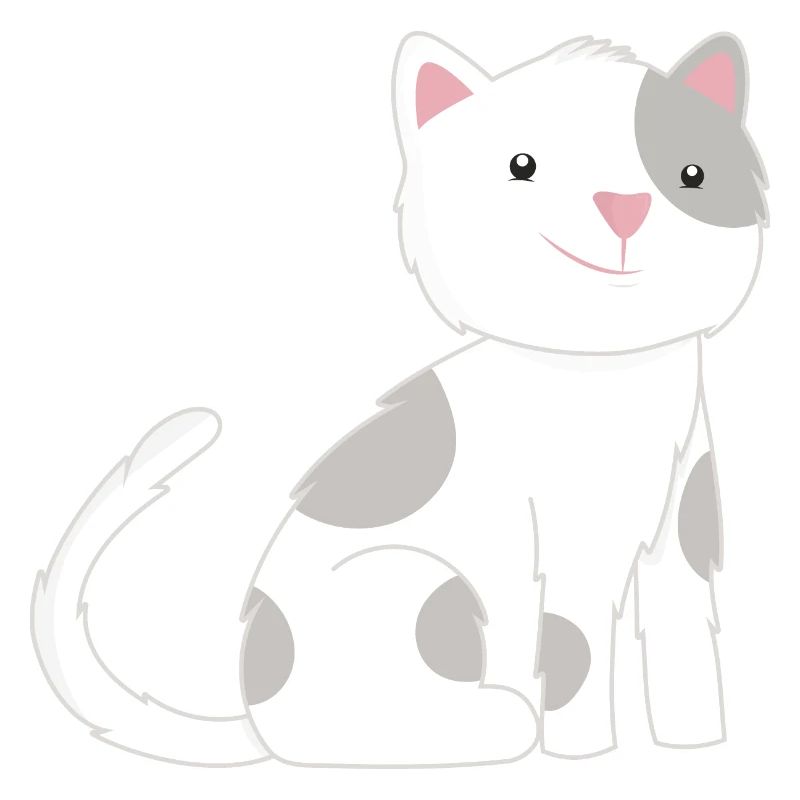 Katze Katzen