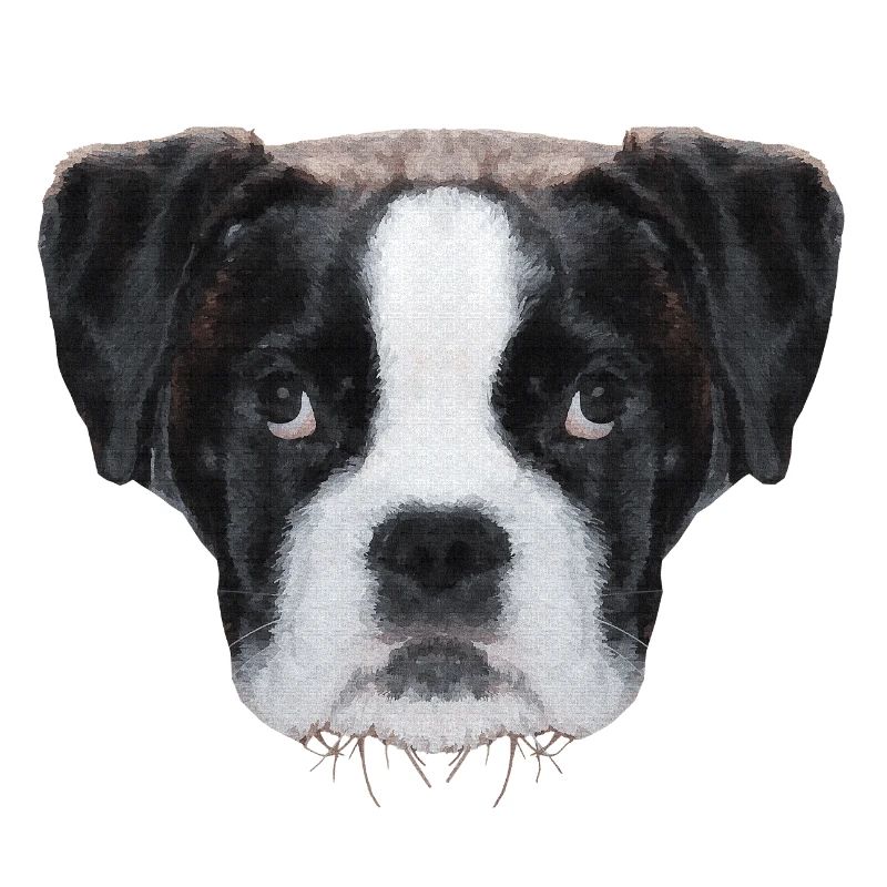 schöne hündchen, Boxerbaby