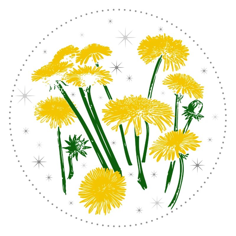 Löwenzahn Frühling Sternenhimmel