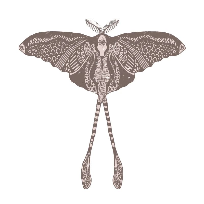 Chinese Moon Moth - Luna Moon Moth