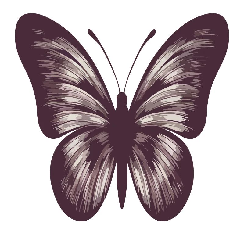 Schmetterling
