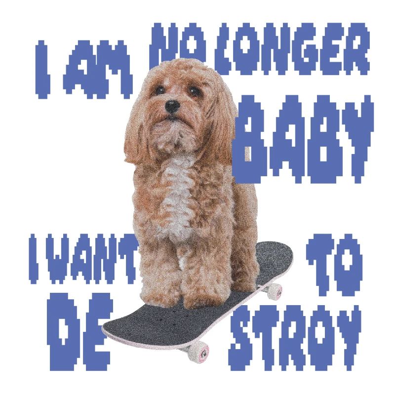 Skater Dog Meme - Plus bébé