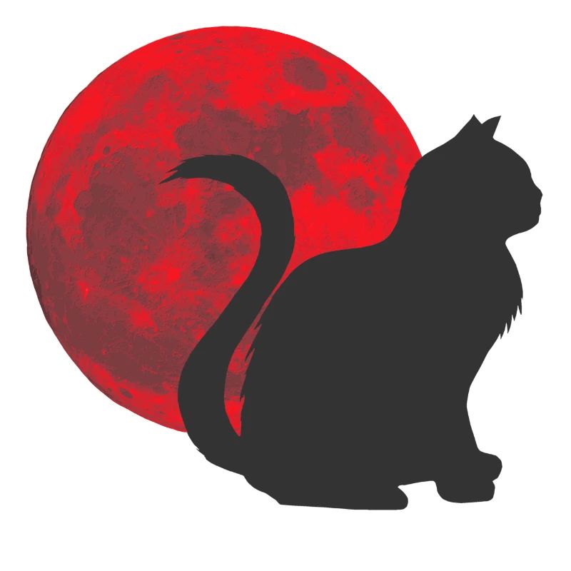 katzen design, monde