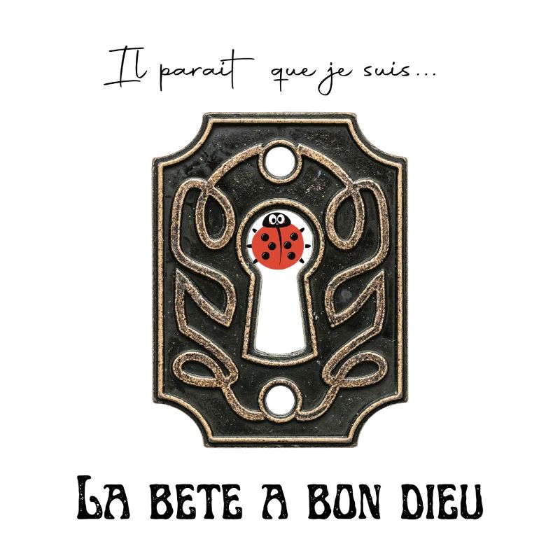 Glücklicher Marienkäfer