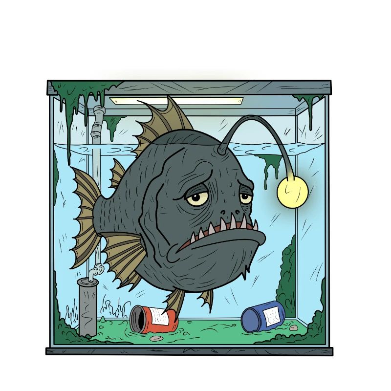 Leben der Aquarienfische