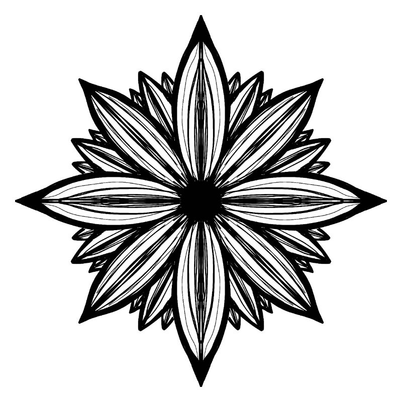 Daisy flower