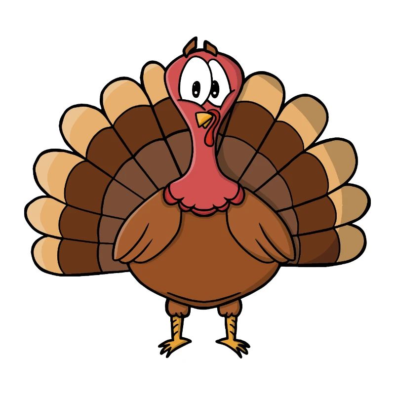 Dinde à queue large