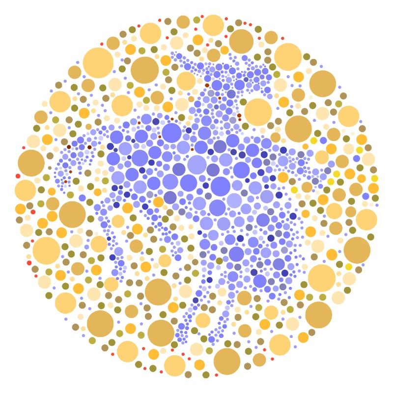 Reiter Rodeo Farbtest