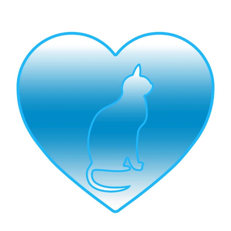 Katze