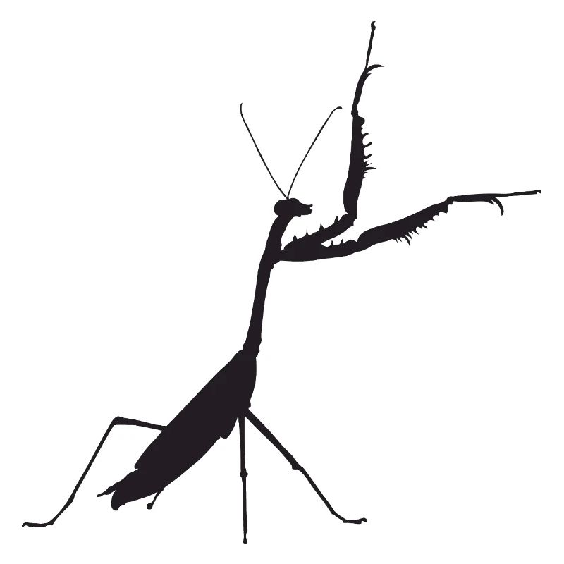 Gottesanbeterin schwarz