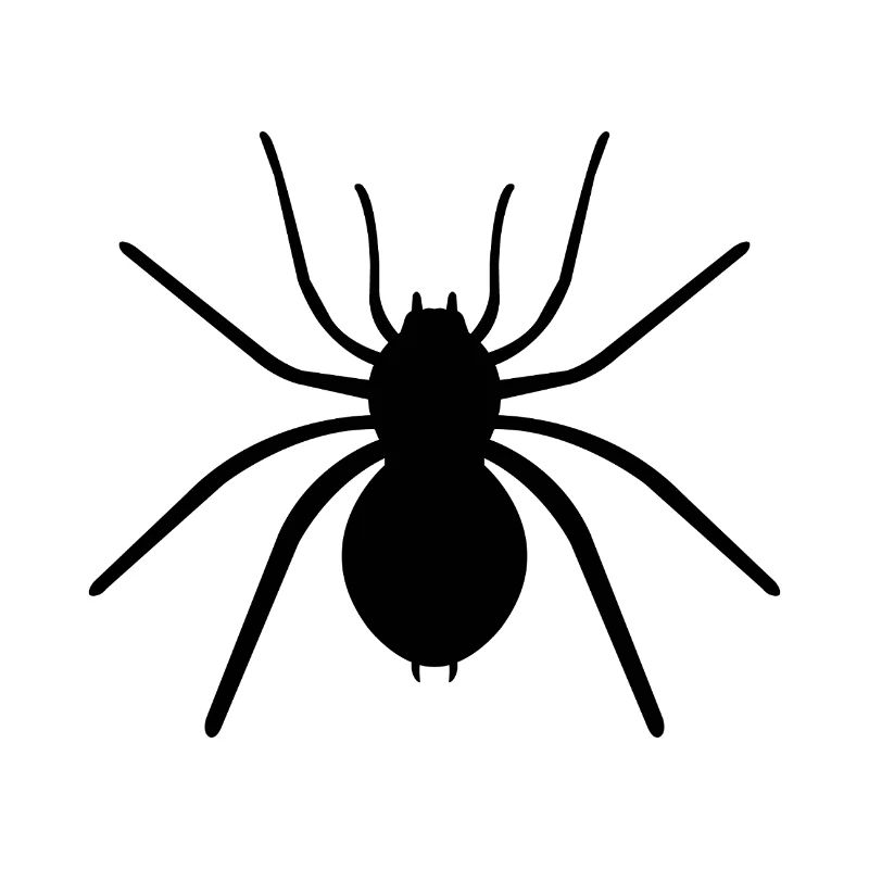 Spinne