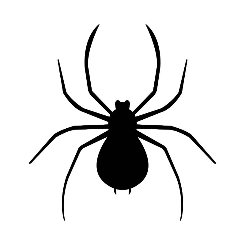spider