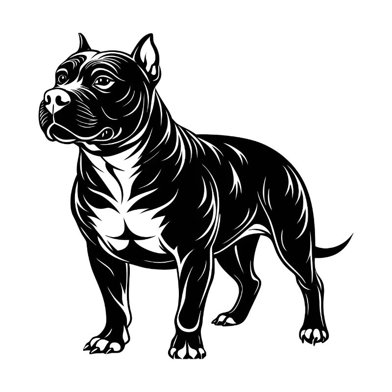 Amerikanischer Pitbull