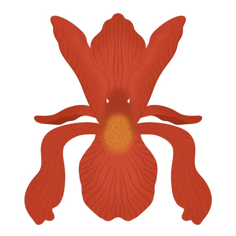 Crimson Iris Flame