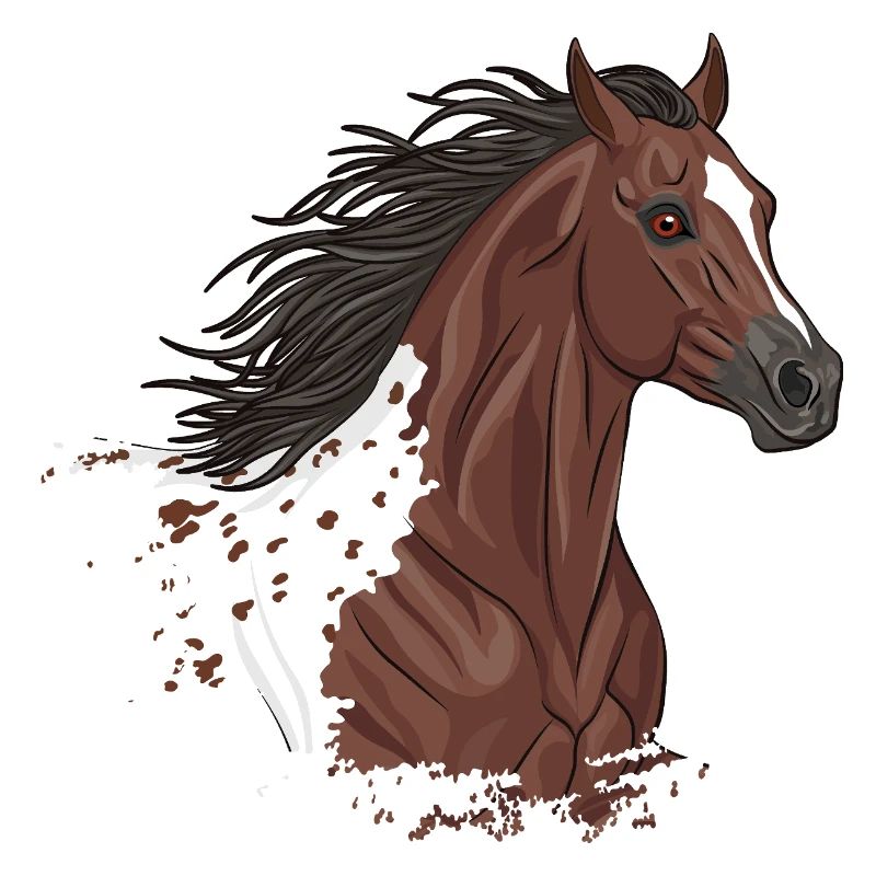 Der Kopf eines Appaloosa-Pferdes