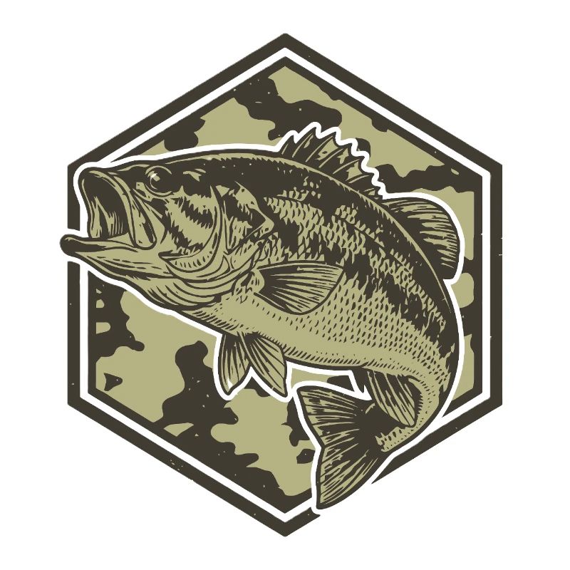 La basse dans l’hexagone de camouflage