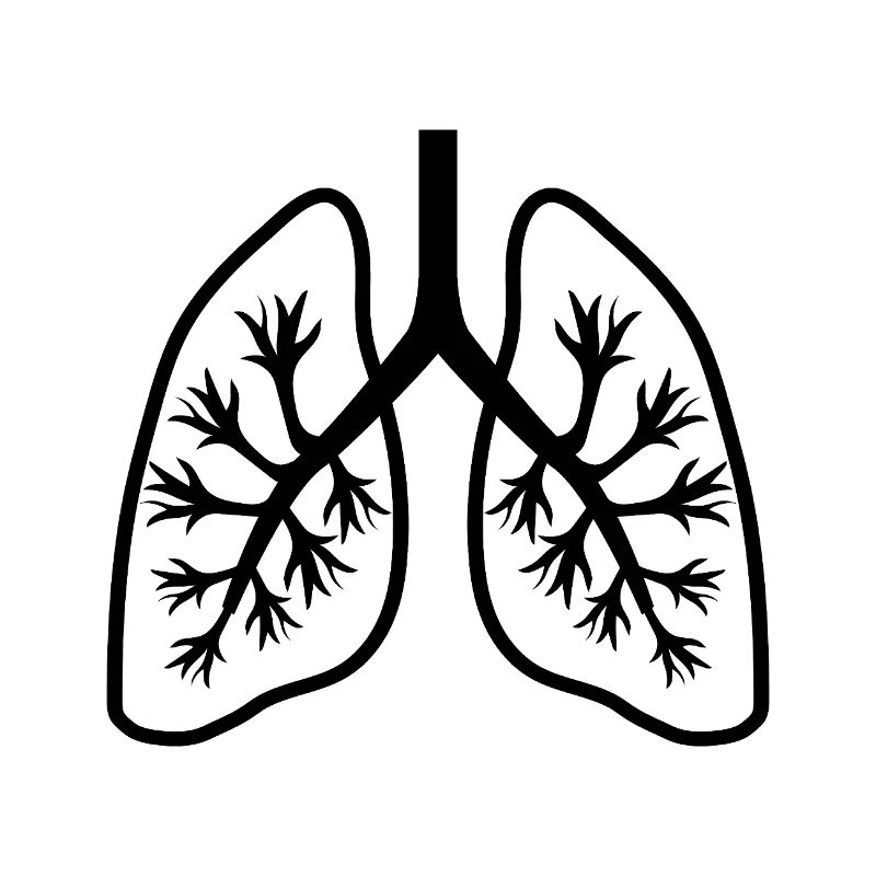 Lungen