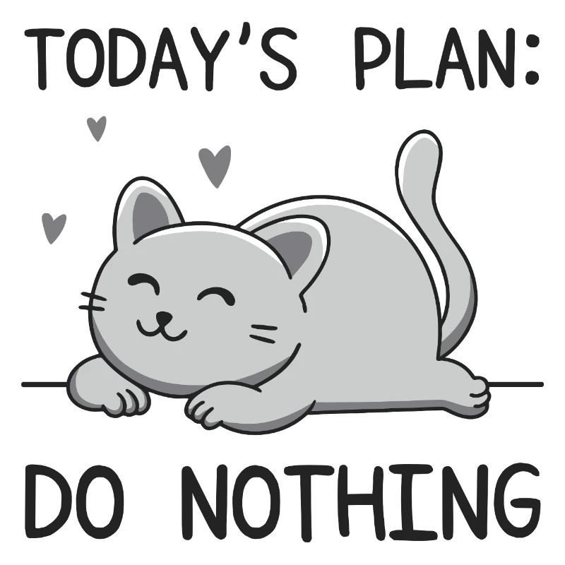 Today's Plan