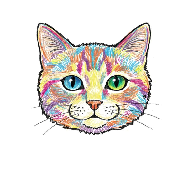 Bunte Katze Skizze Tiermotiv