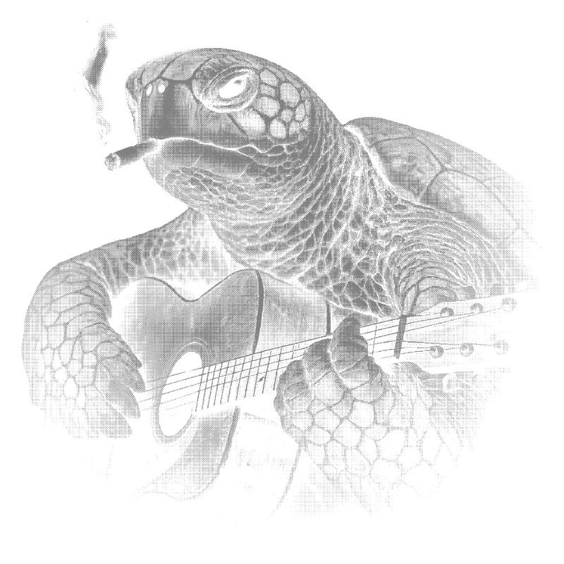 Turtle Night Guitar