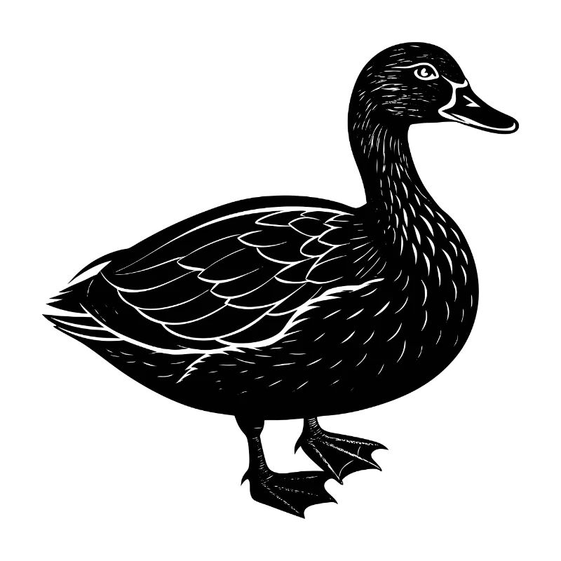 Ente