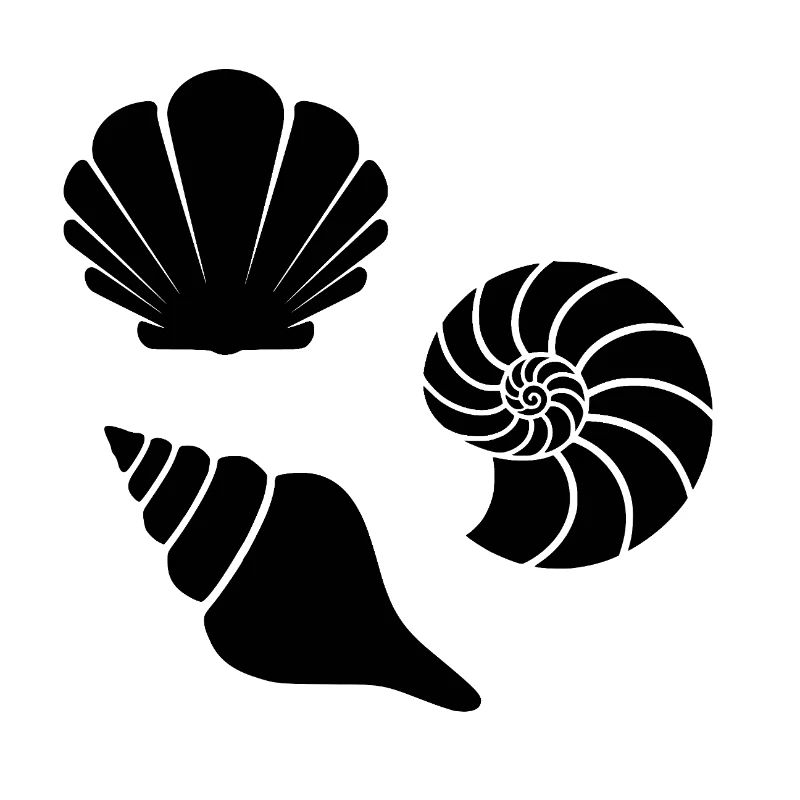 Muscheln