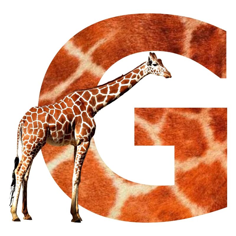 giraffe g