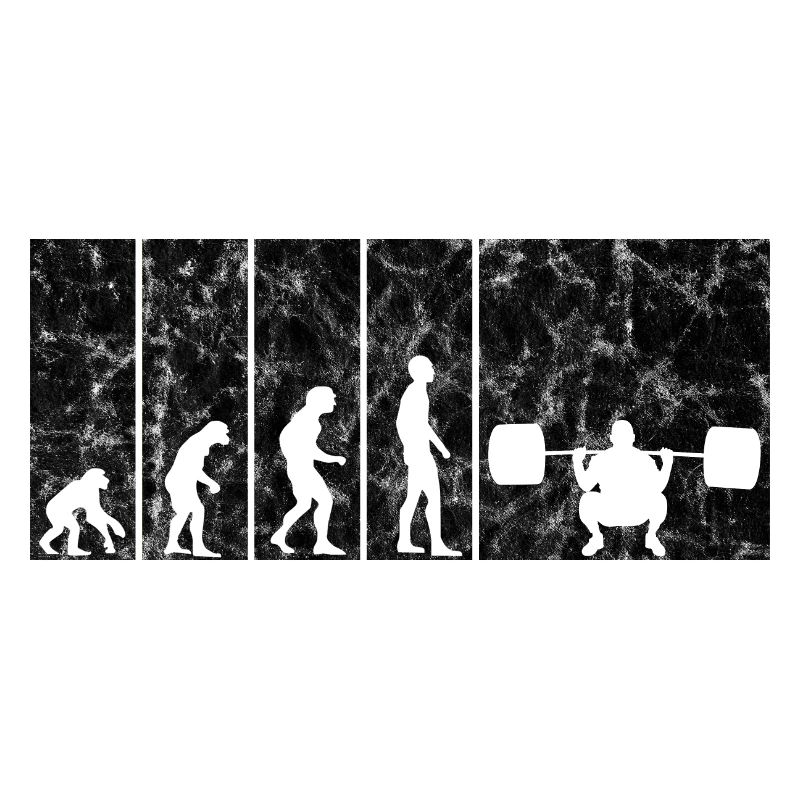 Musculation Bodybuilder GYM Evolution Rétro