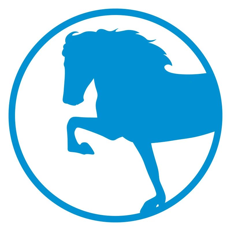 Islandpferd - Tölt - Kreis