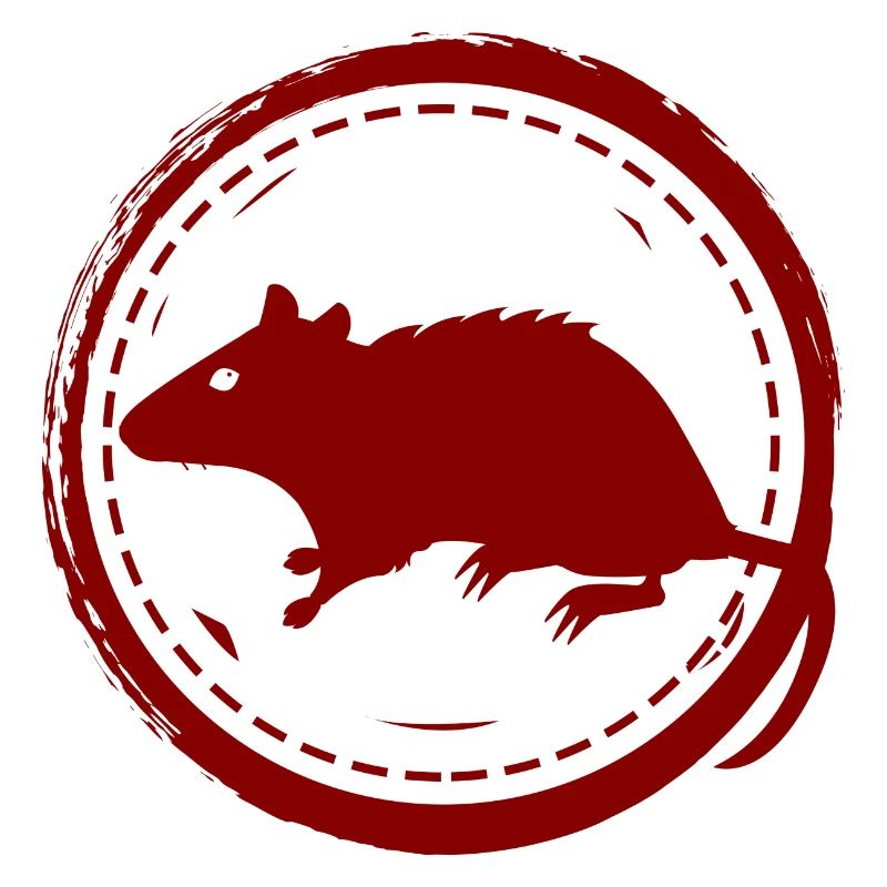 Ratte - Nagetier