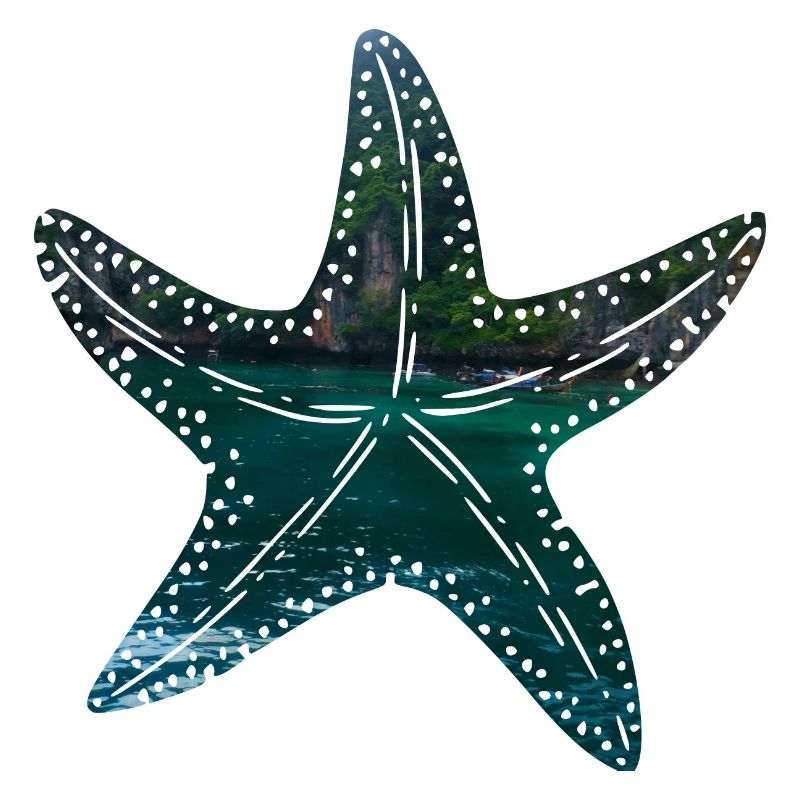 Seestern Thailand