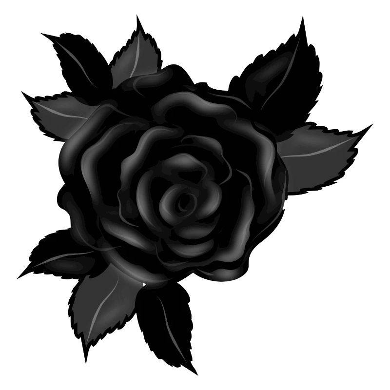 schwarze Gothic Rose