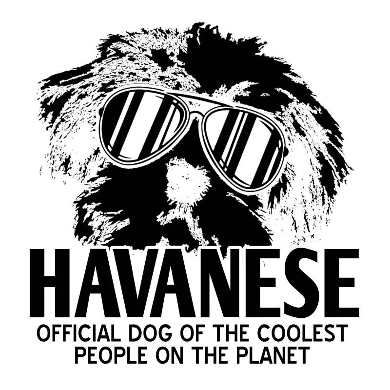 Havanese