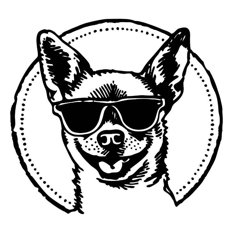 Chihuahua Hund