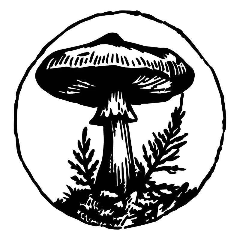 Pilz Pilzsammler