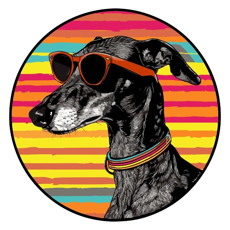 Hund mit Sonnenbrille 