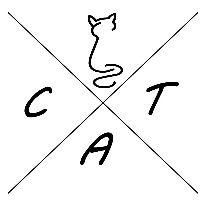 Cat Katze