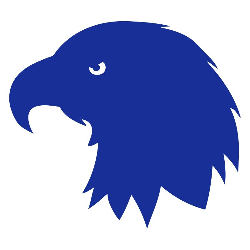 eagle head silhouette shadow 702