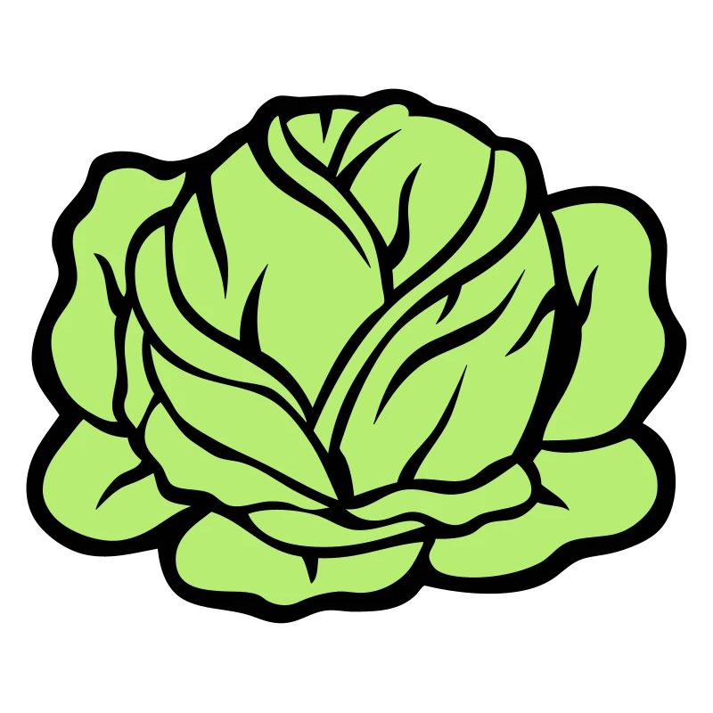 cabbage cabbage vegetables 403