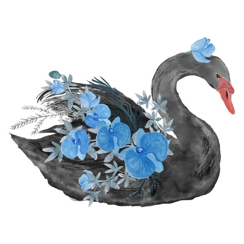 Schwarzer Schwan