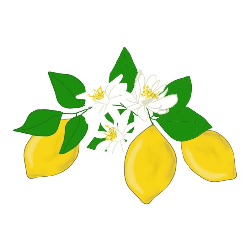 Citrons, fleurs de citron