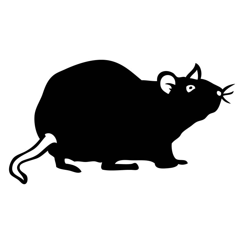 Ratte
