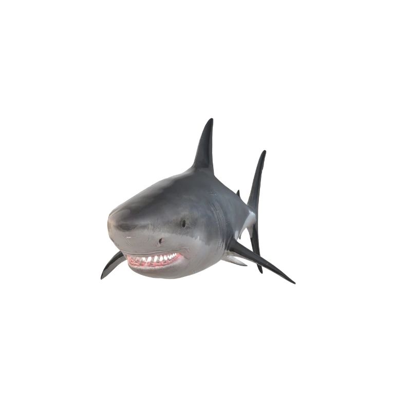 shark hai haifisch