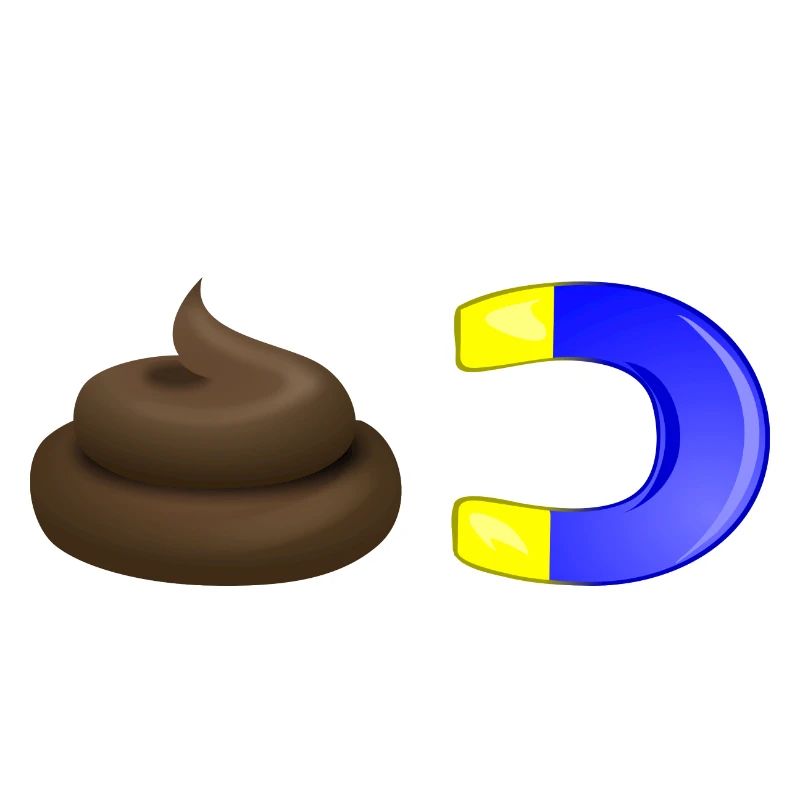 shit magnet