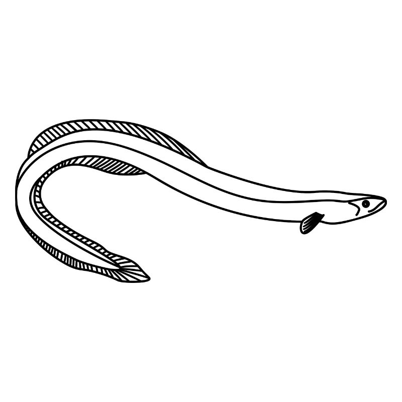 Aal