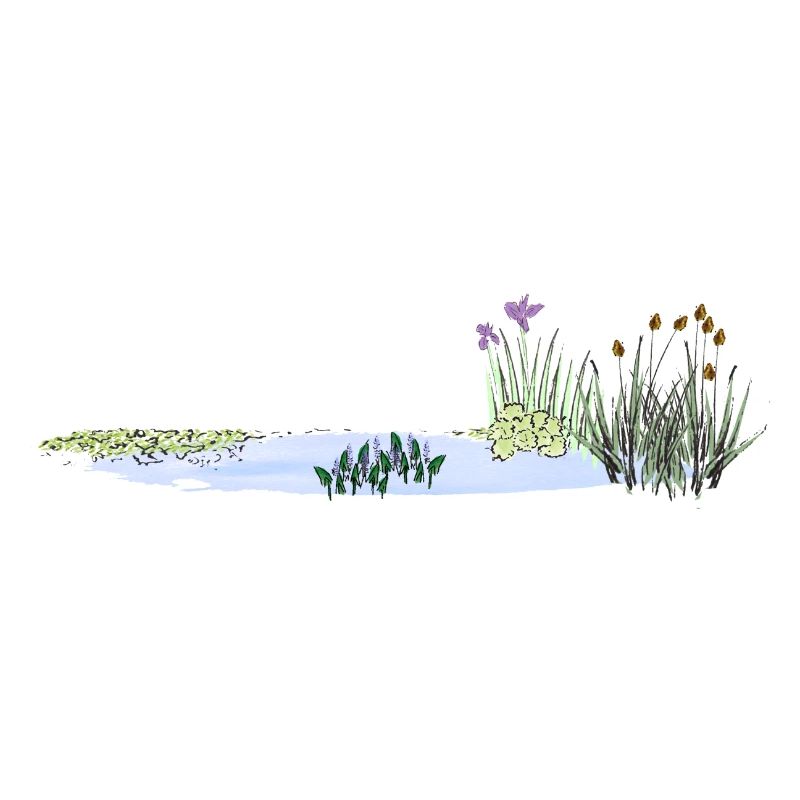 Teich