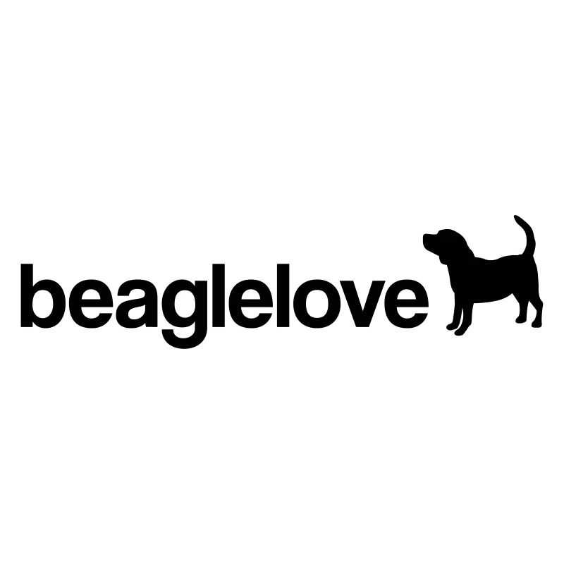 amour beagle